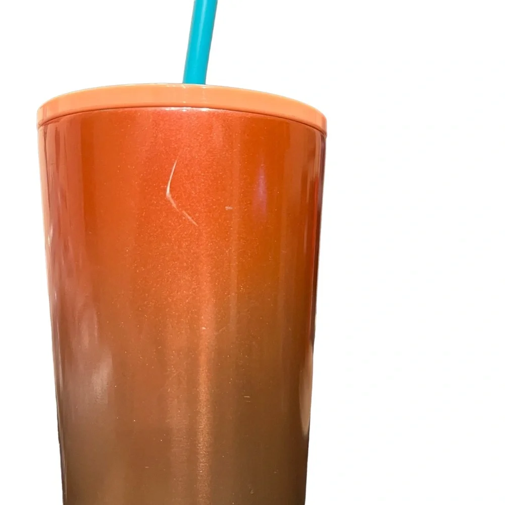Starbucks Rainbow Iridescent Stainless Steel Insulated Cold Cup - Venti